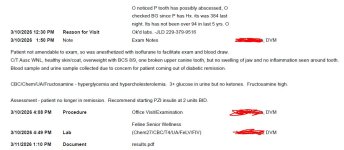 venge first page.JPG