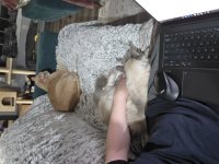 20260323_212608 (1).jpg