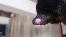 is this ****ing ringworm1.jpg