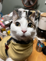 Screenshot 2026-03-27 at 02.34.14.png