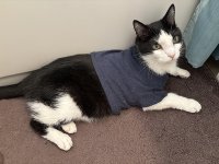 Buster T-shirt.JPG