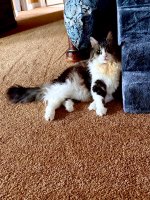 IMG_3387.jpeg