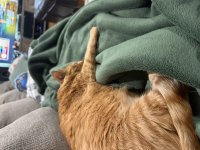 IMG_7465.jpeg