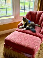 IMG_3531.jpeg