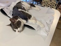 IMG_2488.jpeg