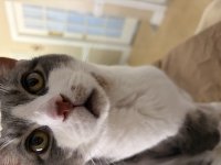 IMG_2683.jpeg