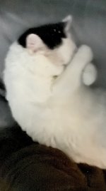 IMG_4606.jpeg