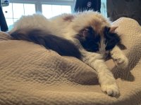 IMG_0517.jpeg