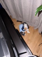 IMG_3091.jpeg
