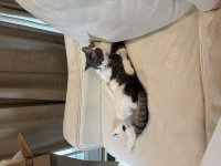 IMG_3317.jpeg