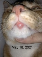 IMG_5597.jpeg