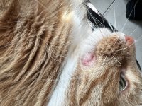 IMG_4269.jpeg