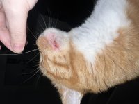 IMG_4291.jpeg