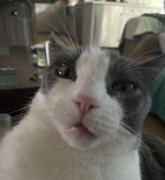 IMG_2119.jpeg