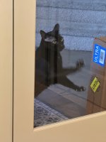 IMG_7847.jpeg