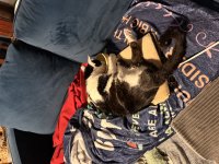 IMG_5198.jpeg