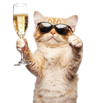 IMG_0601.png IMG_0601.png