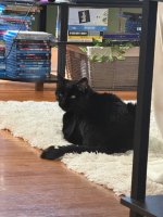 IMG_8735.jpeg