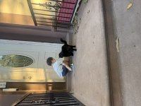 IMG_7548.jpeg