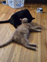 20260902_180115.jpg