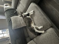 IMG_5453.jpeg