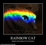 rainbow cat.jpg