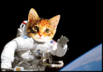 space cat.png