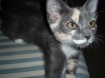 DSC00177_resized (1).jpg