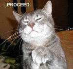 400x400_1347908949228-FunnyCatProceed.jpg