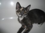 DSC00213.JPG