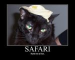 safaricat.preview.jpg