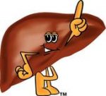 Liver pointing up.jpg