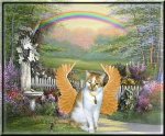 angel cat.jpg