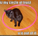 liver circle of trust.jpg