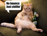 no bounce just chilin'.jpeg