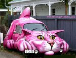 cat truck.jpg