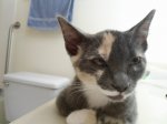 DSC00210.JPG