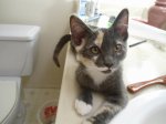 DSC00207.JPG