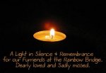 Remembrance Candle.jpg