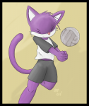 Volleyball_cat_.png