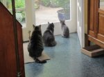 IMG_0234.JPG