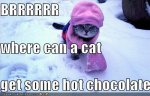 Brrr hot chocolate.jpeg