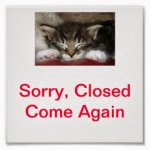 Cat Closed Sign.jpg