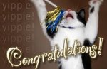 happy kitty.jpeg