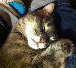 gobsleeping12242013.jpg