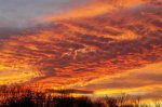 SUNRISE-SUNSET (44).jpg