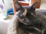 IMG_0002.JPG
