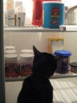 BK 08-15-2008-whats for dinner.JPG