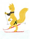 skate_skiing_cat.jpg