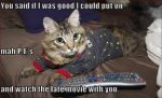 cats pajamas 4 small.jpg